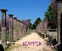 0107a olympia